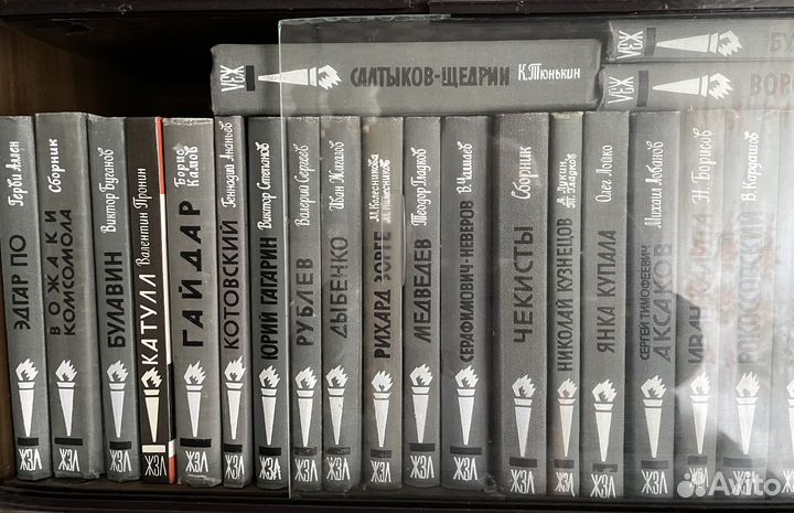 Книги из серии жзл