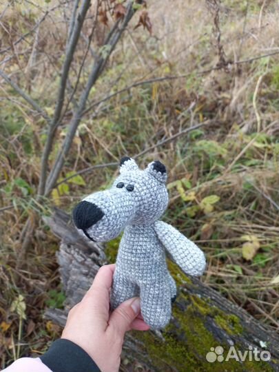 Волчок-серый бочок