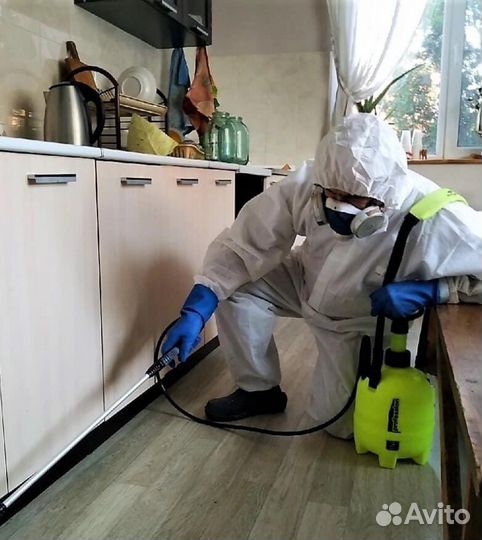 Уничтожение насекомых