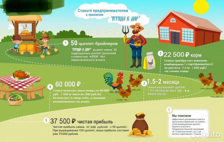 Отдаю птицу В дар