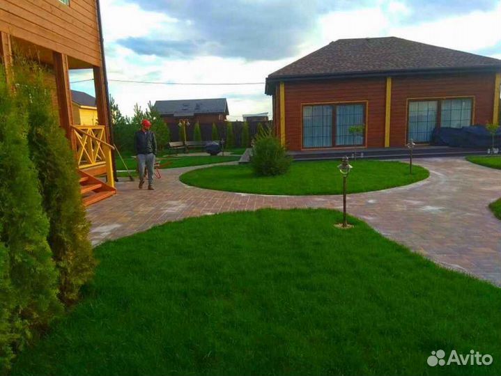 Рулонный газон, укладка, продажа