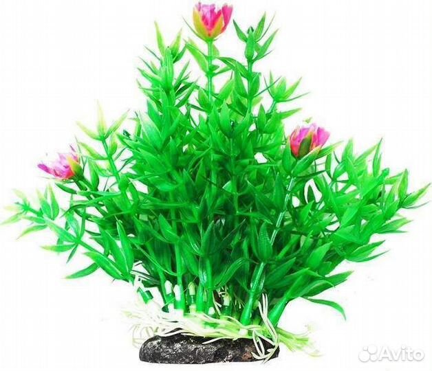 Уют Растение аквариумное 11см Гемиантус с розовыми