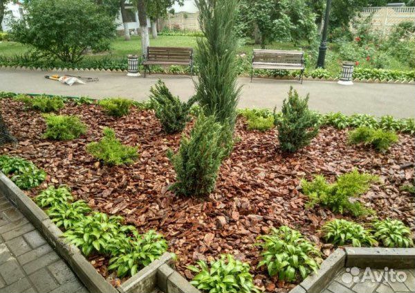 Кора сибирской лиственницы фракция 4-6