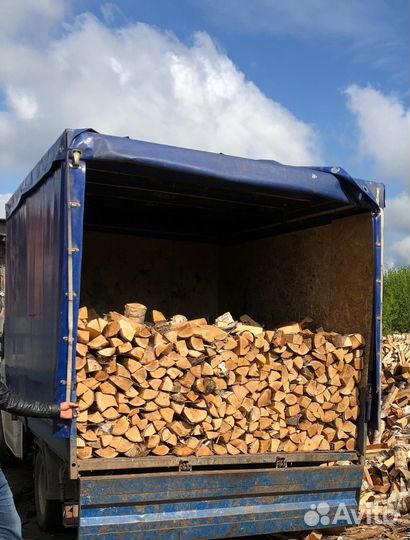 Дрова березовые колотые