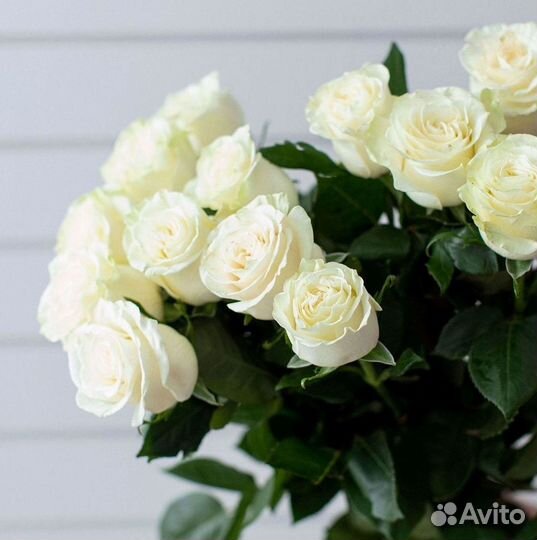 Высокие Розы с Доставкой