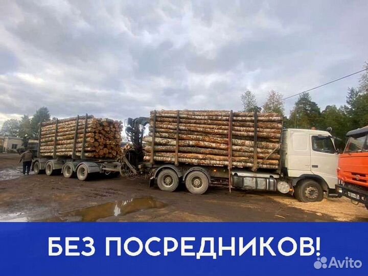 Дрова с доставкой