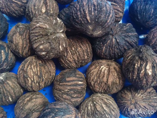 Черный дикий орех