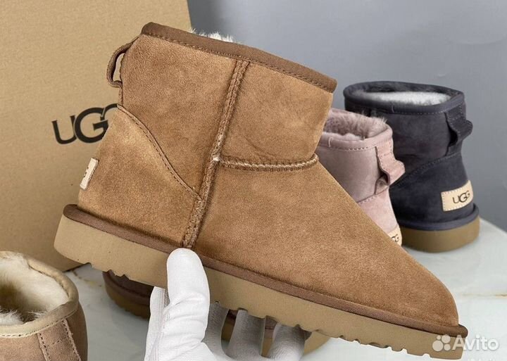 Угги Женские Ugg Classic Mini II