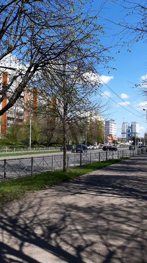 3-к. квартира, 68,1 м², 7/12 эт.