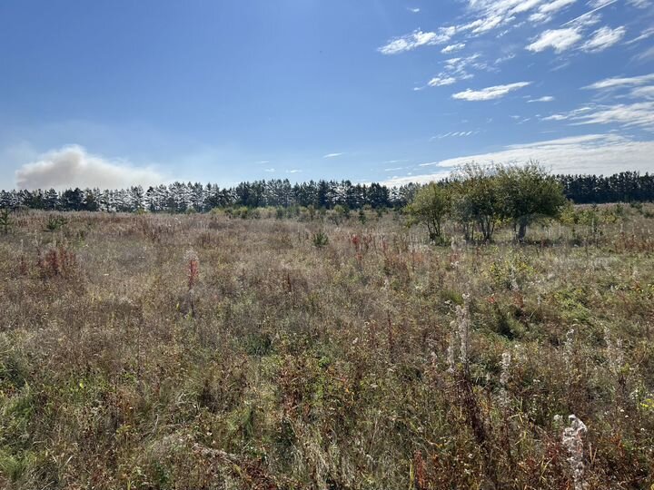 Участок 6 сот. (ИЖС)