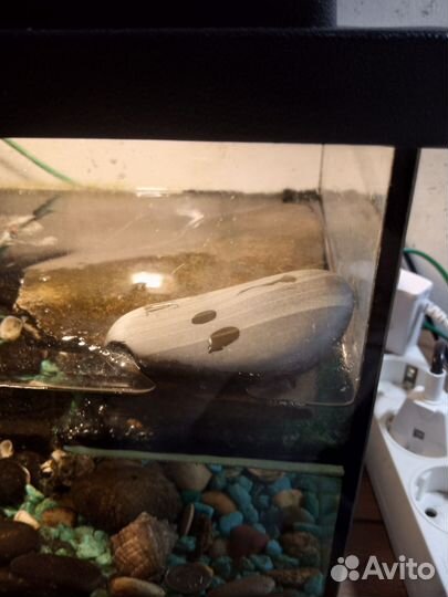 Аквариум для черепах 20 литров