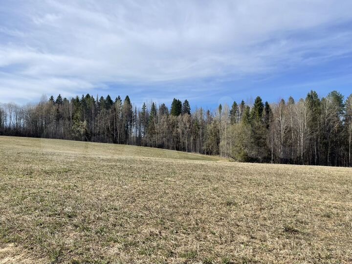 Участок 4,2 га (СНТ, ДНП)