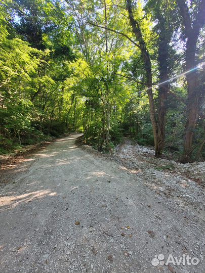 Прокат велосипедов в Кабардинке