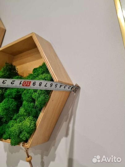 Полка сота мох стабилизированный