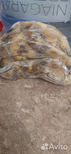 Копчёное мясо, грузди солёные, белый гриб варёный