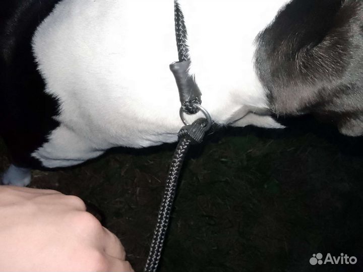 Поводок контроллер/удавка