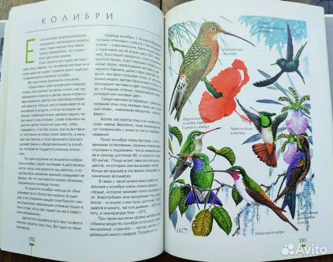 Книга насекомые и птицы