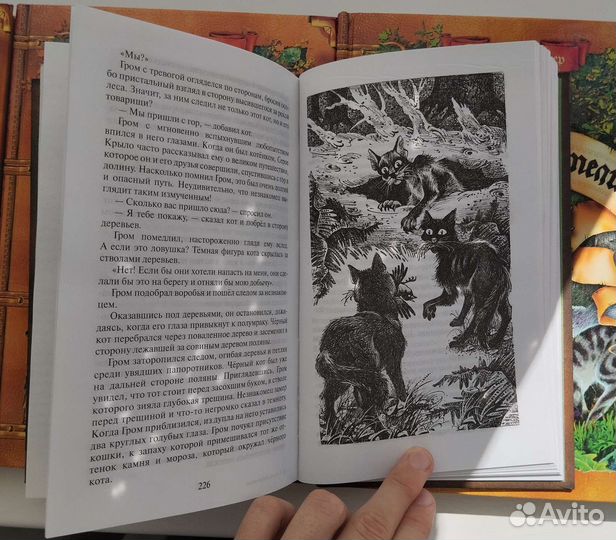 Книги Коты-Воители