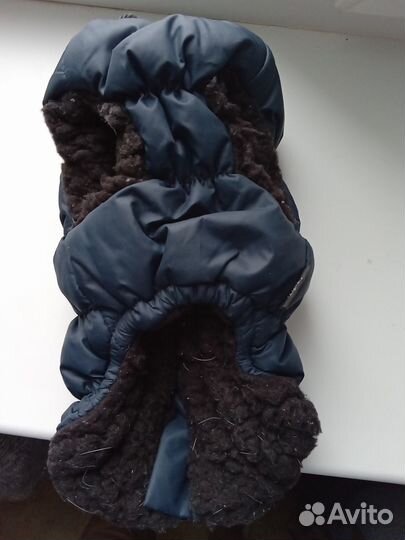 Одежда для маленьких собак чихуа