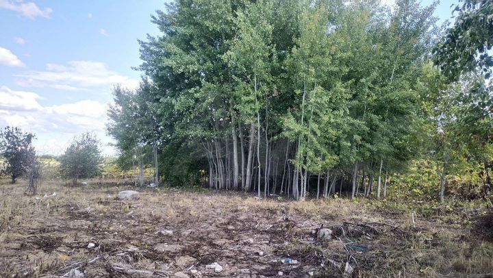 Участок 16 сот. (ИЖС)