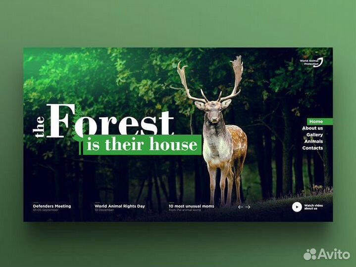 Web разработка, frontend, react