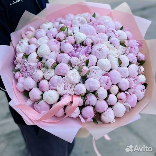 Свежие пионы