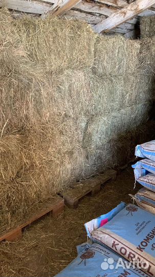 Сено солома опилки