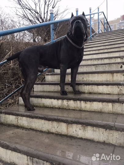 Кабель вязка