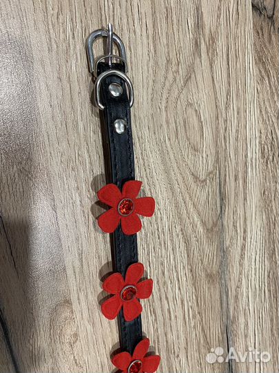 Ошейник на маленькую собачку