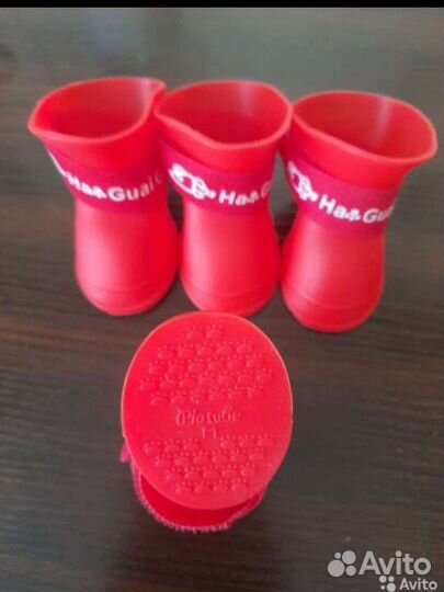 Обувь для собак