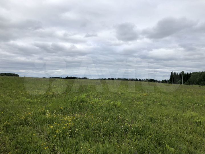 Участок 7,1 га (ИЖС)