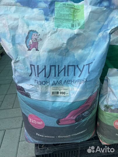 Газонная трава лилипут