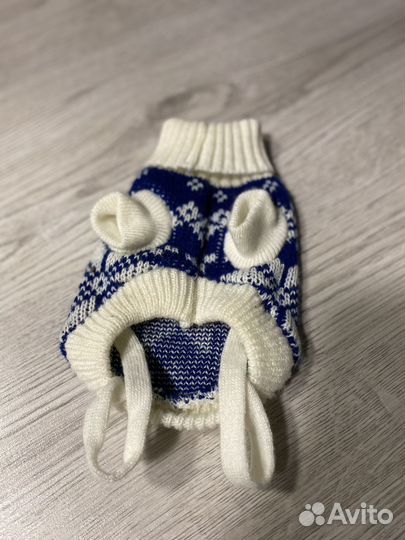 Одежда для маленьких пород собак