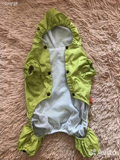 Одежда для собак