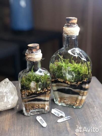Флорариумы с живыми растениями. В наличии