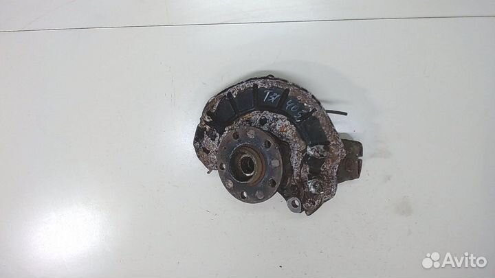 Ступица (кулак, цапфа) Volkswagen Jetta 5, 2008