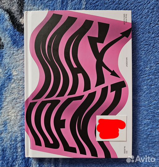 Альбомы stray kids maxident