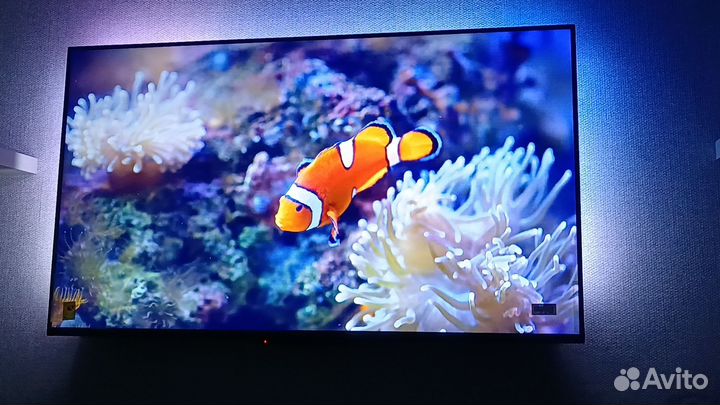 Philips Телевизор 50PUS8108/60(2023)