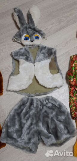 Костюм на утренник