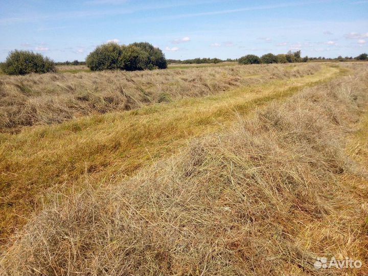 Сено с доставкой