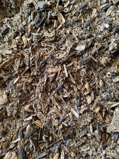 Отходы семечек