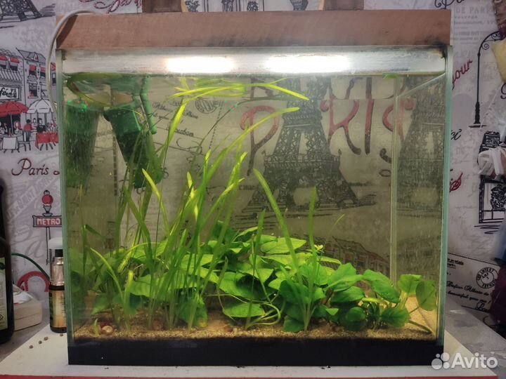 Аквариум с комплектом