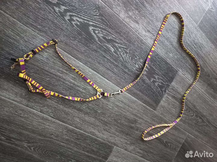 Когтеточка и шлейка поводок