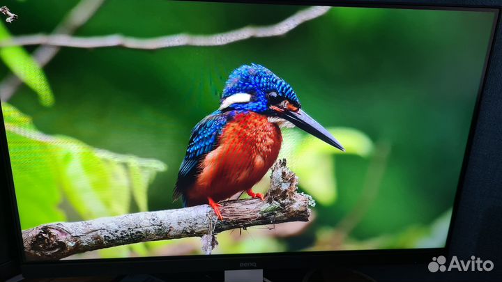 Монитор 24'' BenQ GW2406-T