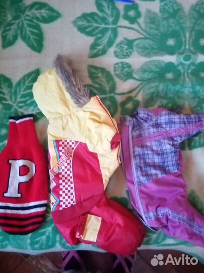 Одежда для собак