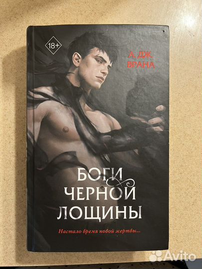 «Боги черной лощины» книга А.Дж.Врана