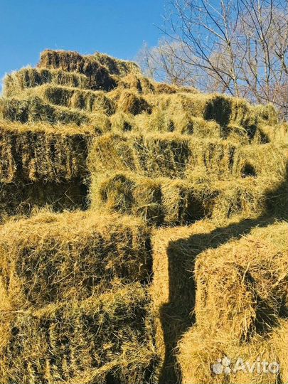Сено и Опилки в тюках