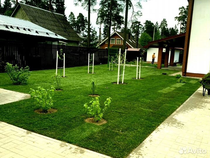 Рулонный газон