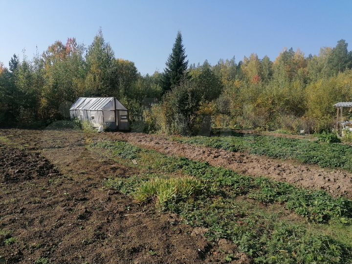 Участок 8 сот. (СНТ, ДНП)