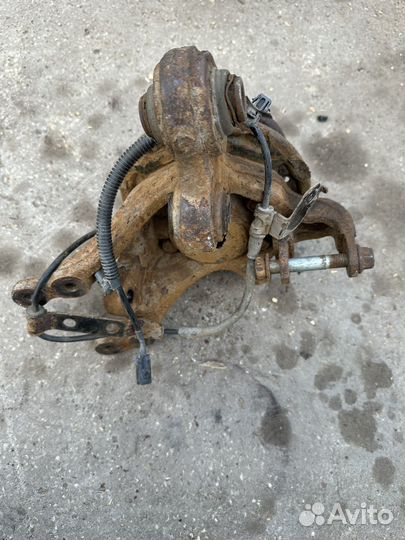 Кулак задний левый Kia Ceed ED